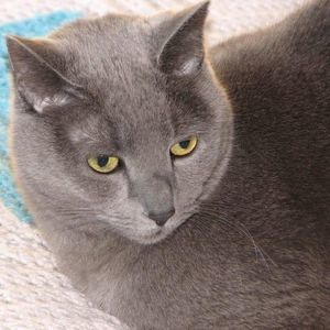 Meet your Posher, Cathy